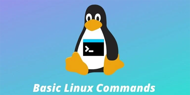 Linux основные команды баррет